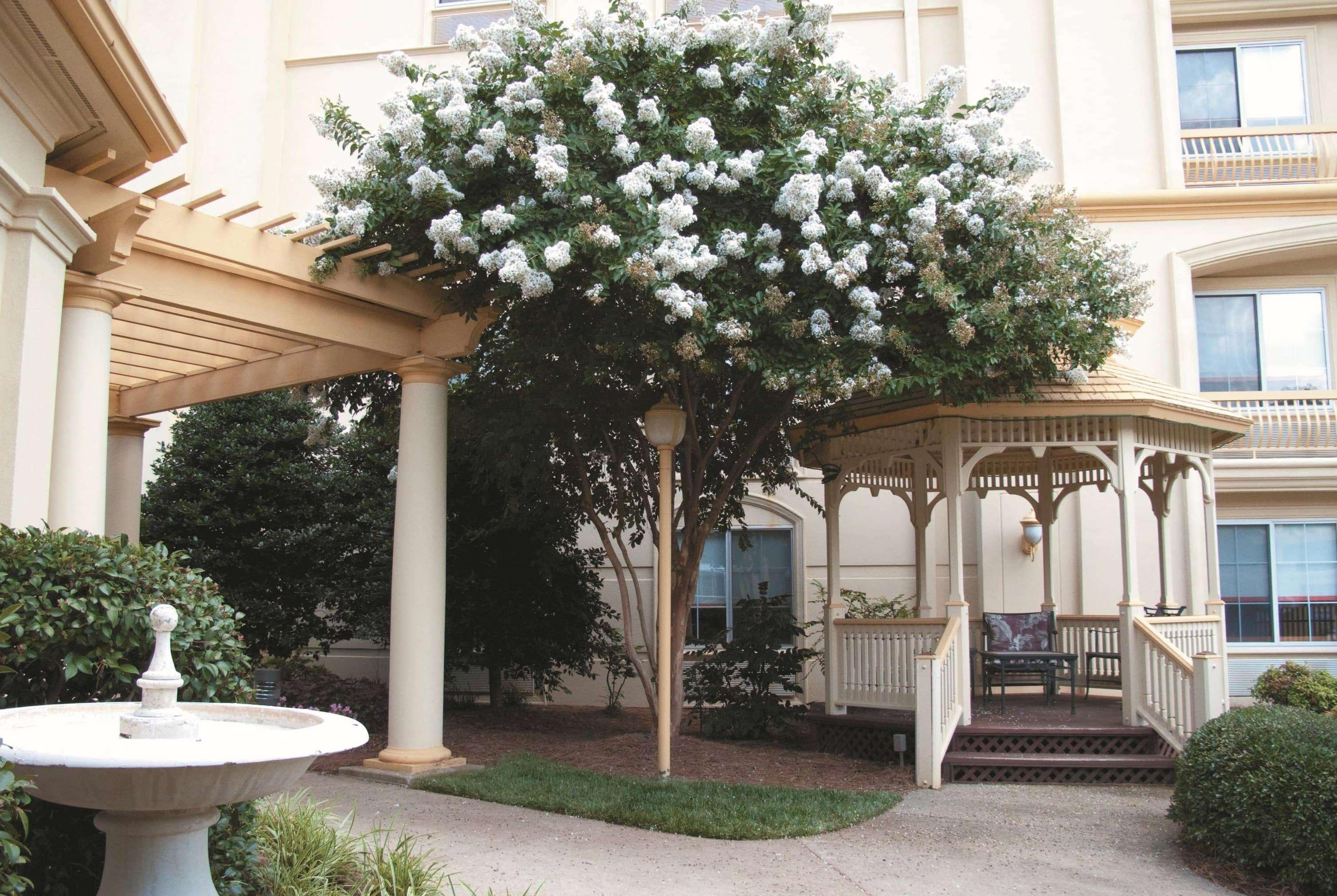 La Quinta By Wyndham Raleigh Crabtree Hotel Eksteriør billede